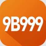9b999 Pro - Free Download